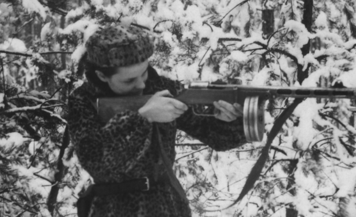 Remembering the Partisans of the Holocaust